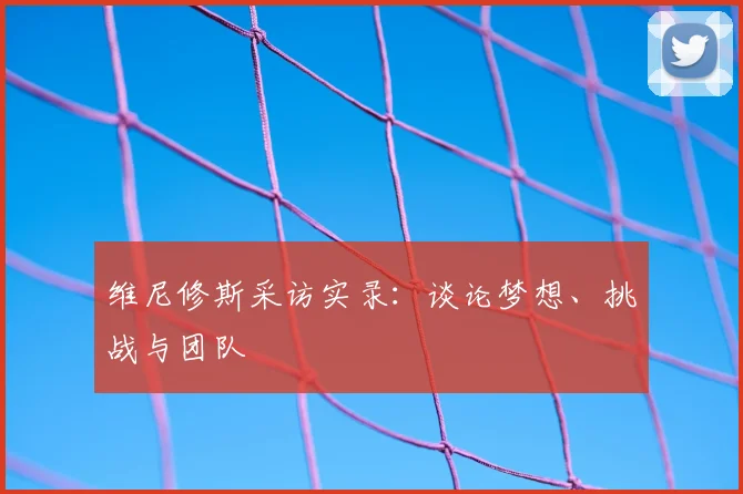 维尼修斯采访实录:谈论梦想、挑战与团队