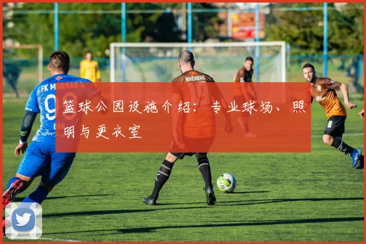 篮球公园设施介绍:专业球场、照明与更衣室